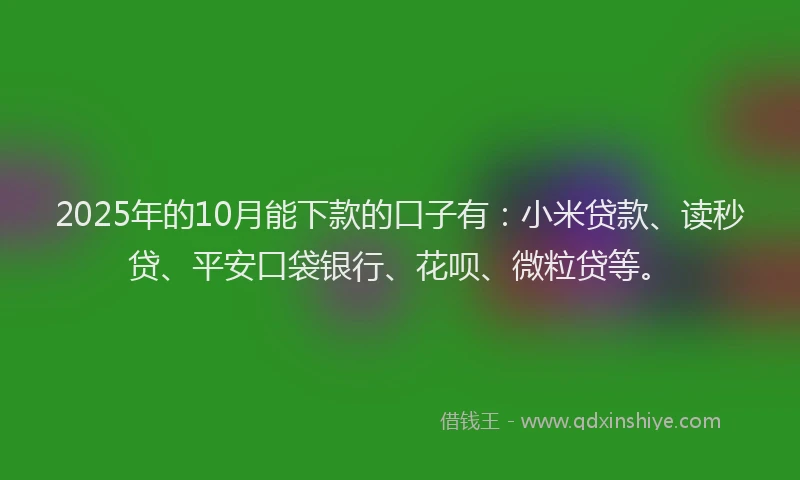 2025年的10月能下款的口子有：小米贷款、读秒贷、平安口袋银行、花呗、微粒贷等。