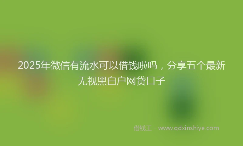 2025年微信有流水可以借钱啦吗，分享五个最新无视黑白户网贷口子