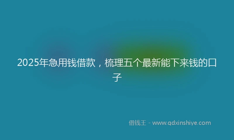 2025年急用钱借款，梳理五个最新能下来钱的口子