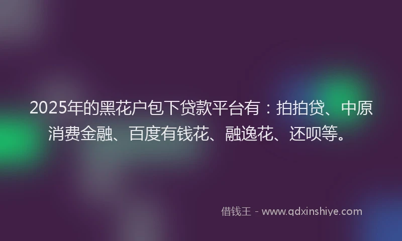 2025年的黑花户包下贷款平台有：拍拍贷、中原消费金融、百度有钱花、融逸花、还呗等。