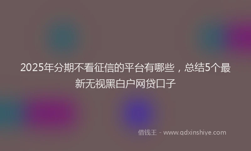 2025年分期不看征信的平台有哪些，总结5个最新无视黑白户网贷口子