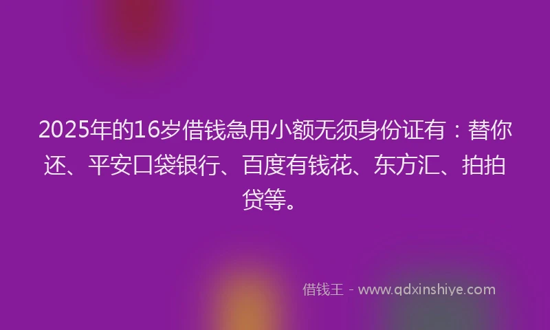2025年的16岁借钱急用小额无须身份证有：替你还、平安口袋银行、百度有钱花、东方汇、拍拍贷等。