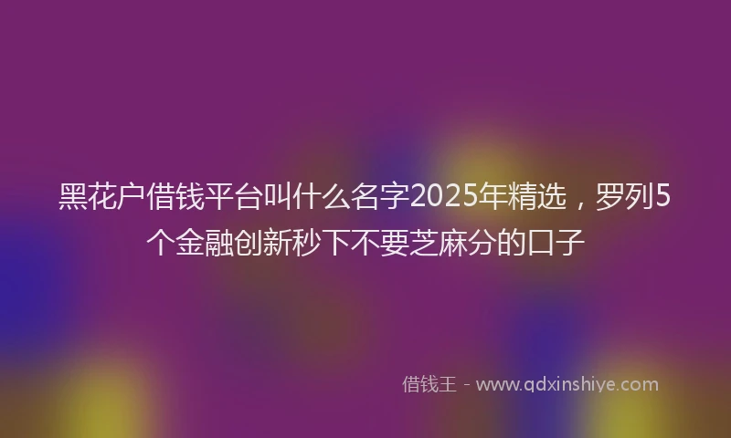 黑花户借钱平台叫什么名字2025年精选，罗列5个金融创新秒下不要芝麻分的口子