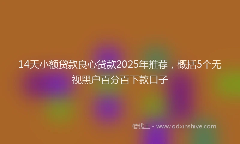 14天小额贷款良心贷款2025年推荐，概括5个无视黑户百分百下款口子