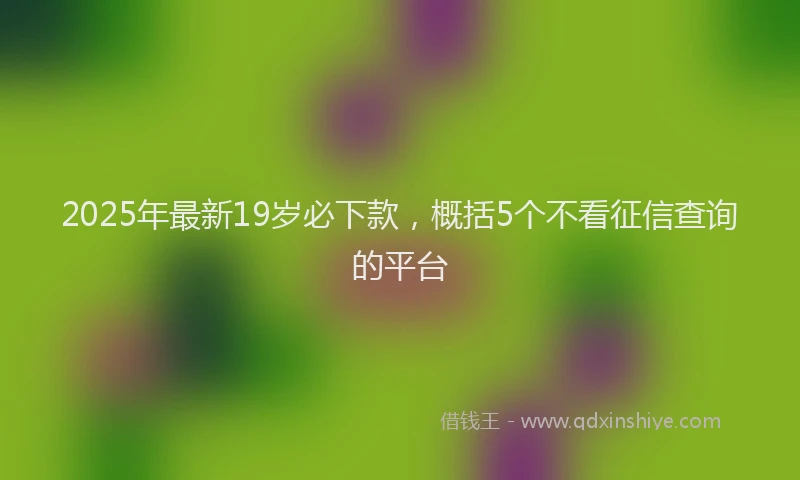 2025年最新19岁必下款，概括5个不看征信查询的平台