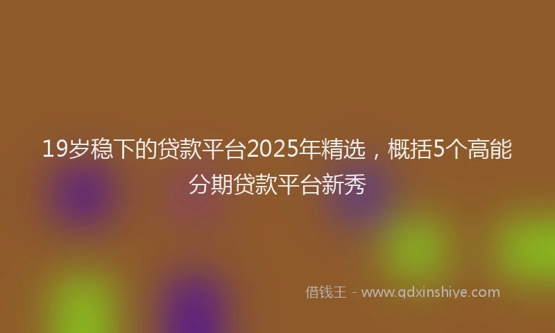 19岁稳下的贷款平台2025年精选，概括5个高能分期贷款平台新秀