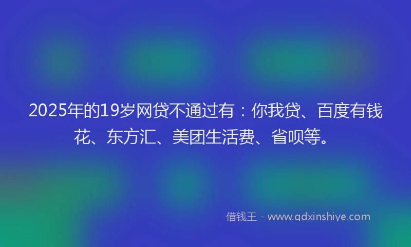 2025年的19岁网贷不通过有：你我贷、百度有钱花、东方汇、美团生活费、省呗等。
