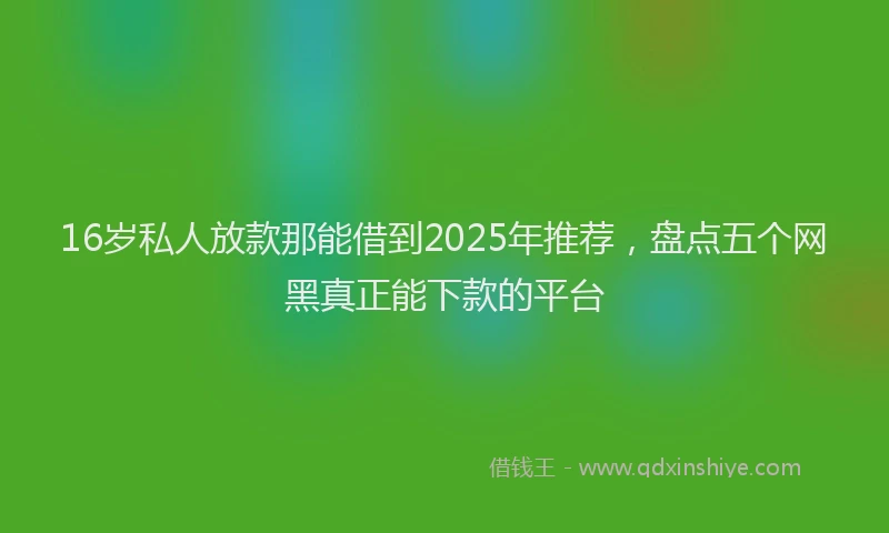 16岁私人放款那能借到2025年推荐，盘点五个网黑真正能下款的平台