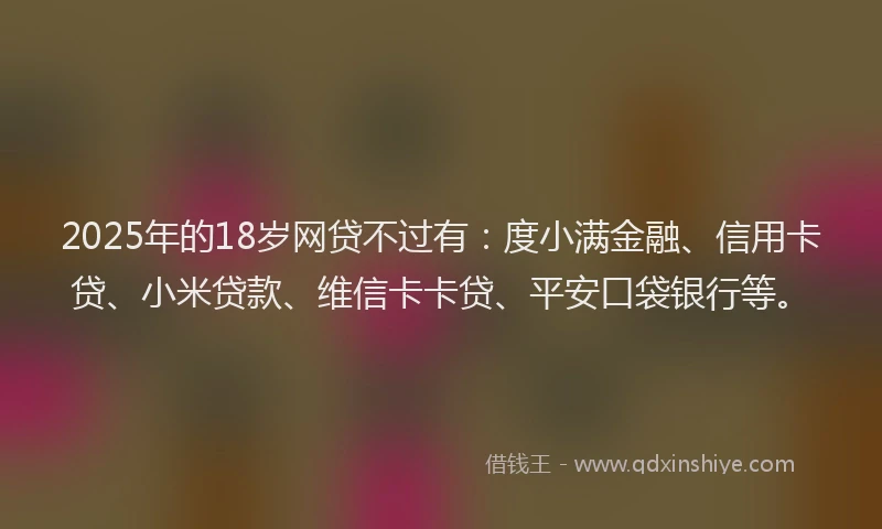 2025年的18岁网贷不过有：度小满金融、信用卡贷、小米贷款、维信卡卡贷、平安口袋银行等。