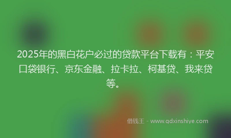 2025年的黑白花户必过的贷款平台下载有：平安口袋银行、京东金融、拉卡拉、柯基贷、我来贷等。