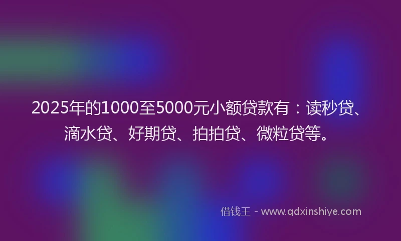 2025年的1000至5000元小额贷款有：读秒贷、滴水贷、好期贷、拍拍贷、微粒贷等。