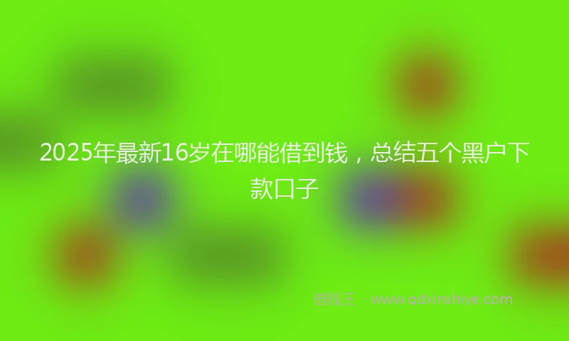 2025年最新16岁在哪能借到钱，总结五个黑户下款口子