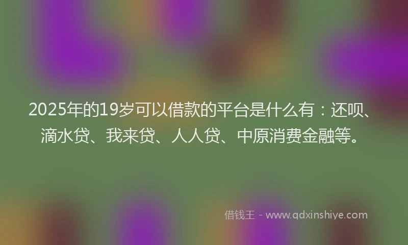 2025年的19岁可以借款的平台是什么有：还呗、滴水贷、我来贷、人人贷、中原消费金融等。
