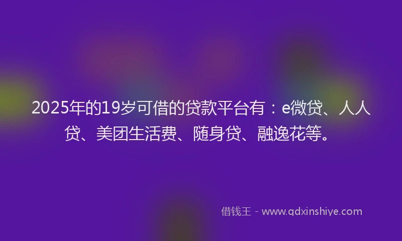 2025年的19岁可借的贷款平台有：e微贷、人人贷、美团生活费、随身贷、融逸花等。