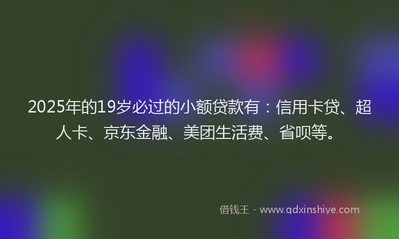 2025年的19岁必过的小额贷款有：信用卡贷、超人卡、京东金融、美团生活费、省呗等。