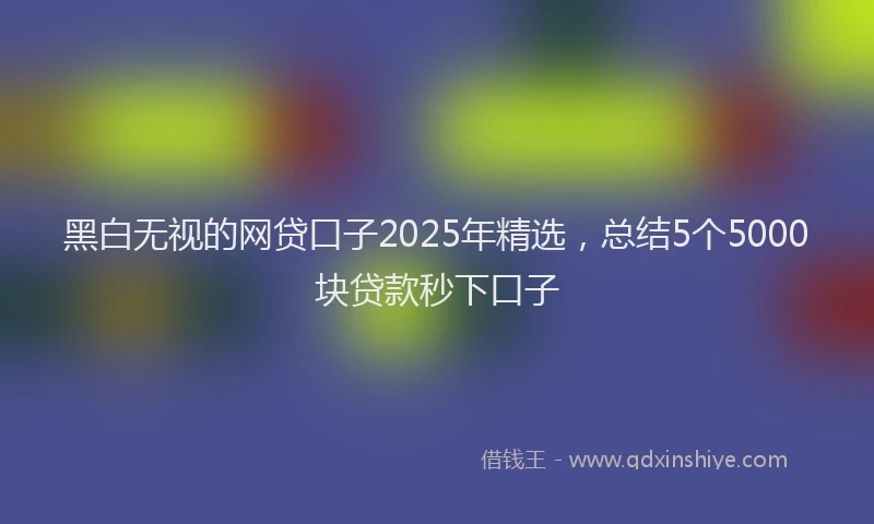 黑白无视的网贷口子2025年精选，总结5个5000块贷款秒下口子