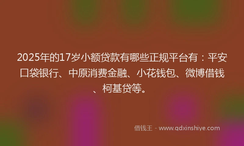 2025年的17岁小额贷款有哪些正规平台有：平安口袋银行、中原消费金融、小花钱包、微博借钱、柯基贷等。