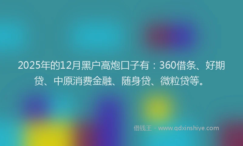 2025年的12月黑户高炮口子有：360借条、好期贷、中原消费金融、随身贷、微粒贷等。