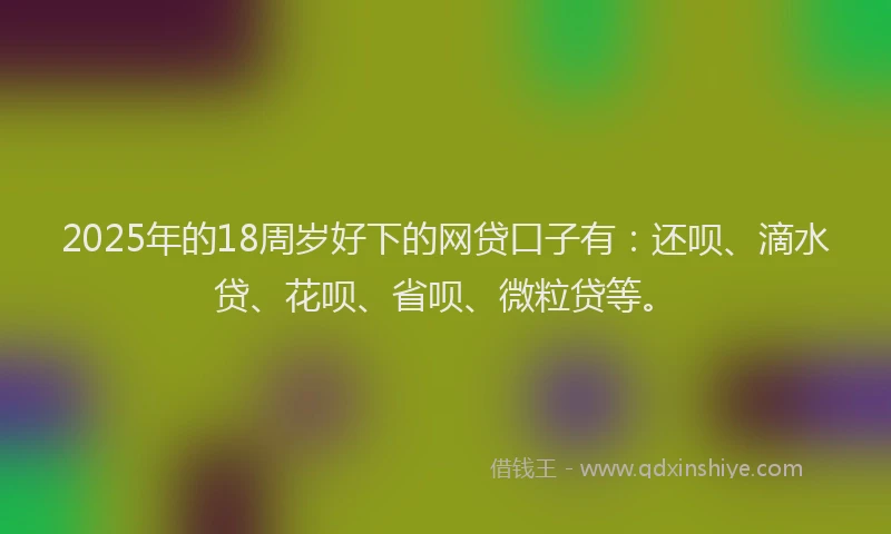2025年的18周岁好下的网贷口子有：还呗、滴水贷、花呗、省呗、微粒贷等。