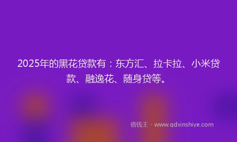 2025年的黑花贷款有：东方汇、拉卡拉、小米贷款、融逸花、随身贷等。