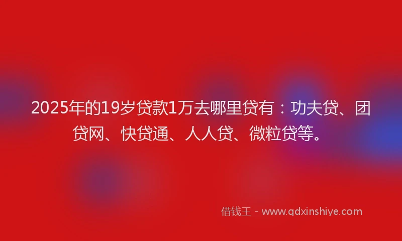 2025年的19岁贷款1万去哪里贷有：功夫贷、团贷网、快贷通、人人贷、微粒贷等。