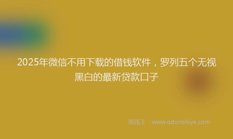2025年微信不用下载的借钱软件，罗列五个无视黑白的最新贷款口子