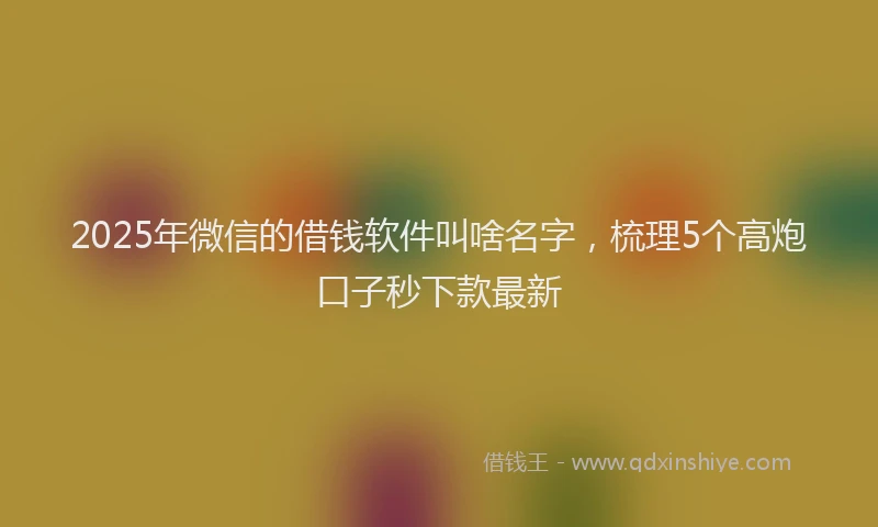 2025年微信的借钱软件叫啥名字，梳理5个高炮口子秒下款最新