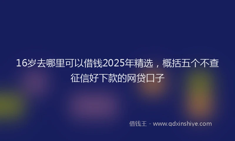 16岁去哪里可以借钱2025年精选，概括五个不查征信好下款的网贷口子