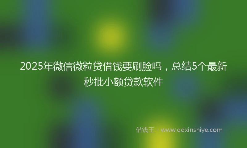 2025年微信微粒贷借钱要刷脸吗，总结5个最新秒批小额贷款软件