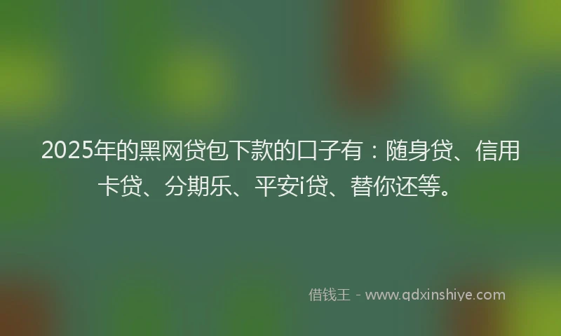 2025年的黑网贷包下款的口子有：随身贷、信用卡贷、分期乐、平安i贷、替你还等。