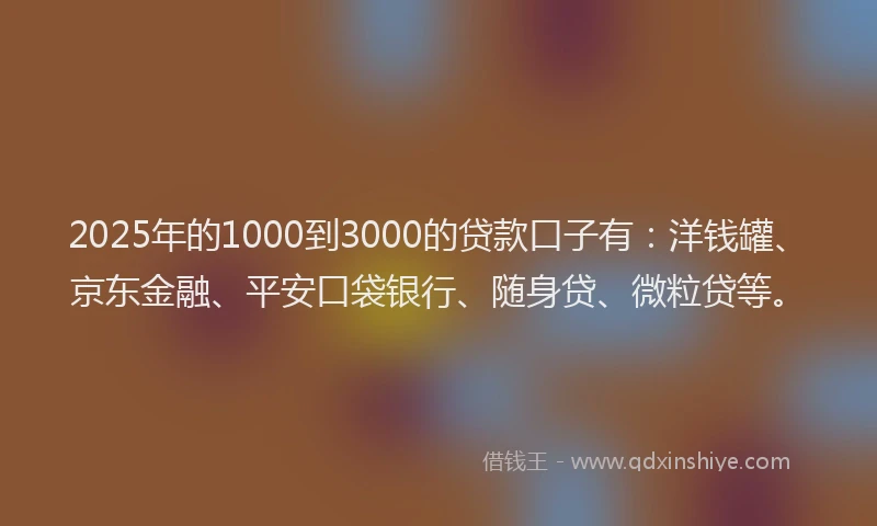 2025年的1000到3000的贷款口子有：洋钱罐、京东金融、平安口袋银行、随身贷、微粒贷等。