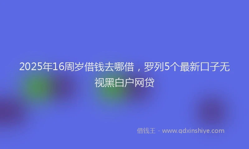 2025年16周岁借钱去哪借，罗列5个最新口子无视黑白户网贷
