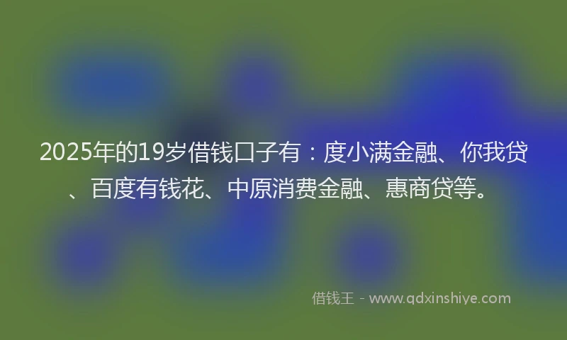 2025年的19岁借钱口子有：度小满金融、你我贷、百度有钱花、中原消费金融、惠商贷等。