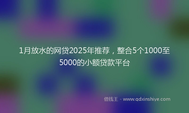 1月放水的网贷2025年推荐，整合5个1000至5000的小额贷款平台