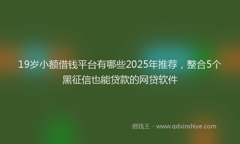 19岁小额借钱平台有哪些2025年推荐，整合5个黑征信也能贷款的网贷软件