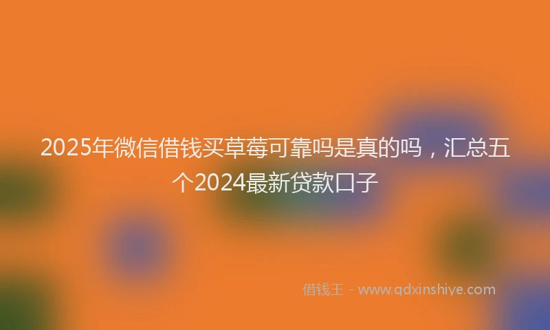 2025年微信借钱买草莓可靠吗是真的吗，汇总五个2024最新贷款口子