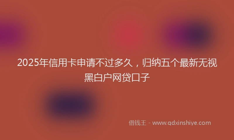 2025年信用卡申请不过多久，归纳五个最新无视黑白户网贷口子