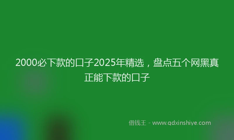 2000必下款的口子2025年精选，盘点五个网黑真正能下款的口子