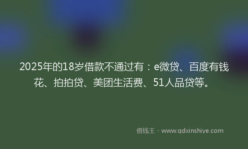 2025年的18岁借款不通过有：e微贷、百度有钱花、拍拍贷、美团生活费、51人品贷等。