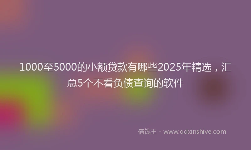 1000至5000的小额贷款有哪些2025年精选，汇总5个不看负债查询的软件