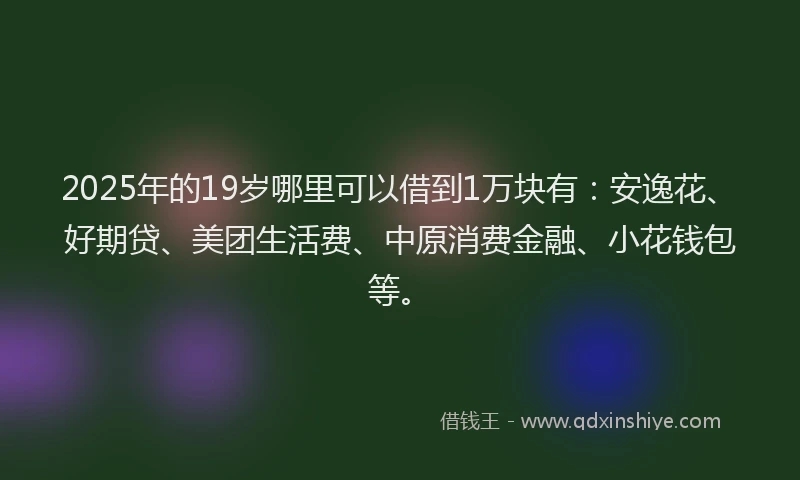 2025年的19岁哪里可以借到1万块有：安逸花、好期贷、美团生活费、中原消费金融、小花钱包等。