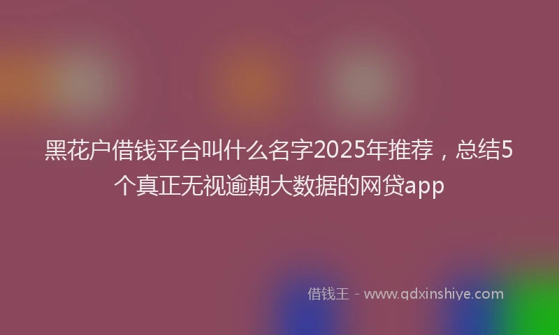 黑花户借钱平台叫什么名字2025年推荐，总结5个真正无视逾期大数据的网贷app