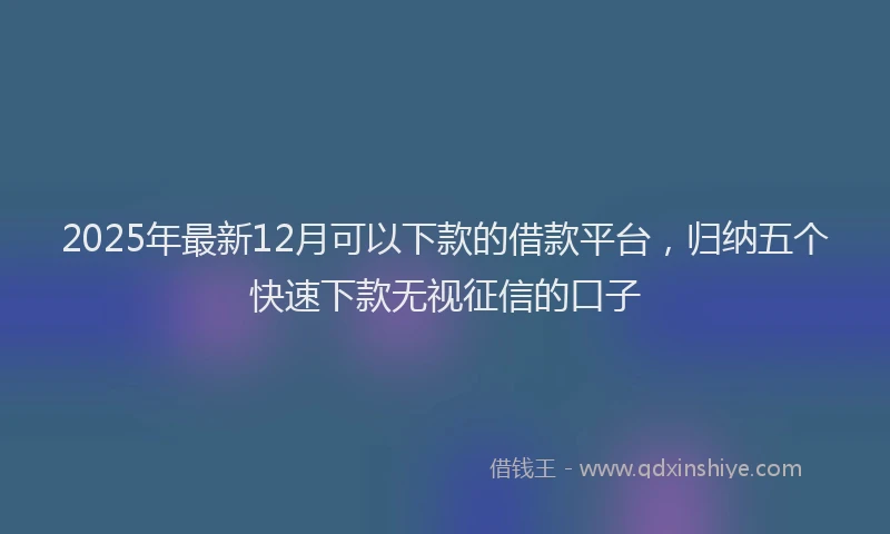 2025年最新12月可以下款的借款平台，归纳五个快速下款无视征信的口子