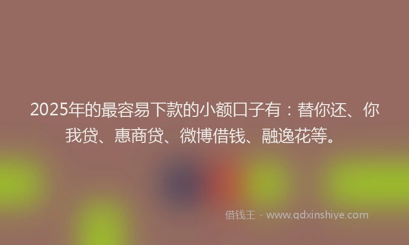 2025年的最容易下款的小额口子有：替你还、你我贷、惠商贷、微博借钱、融逸花等。