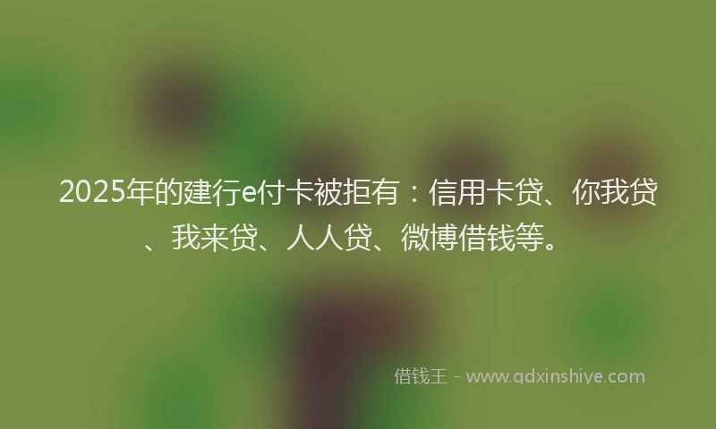 2025年的建行e付卡被拒有：信用卡贷、你我贷、我来贷、人人贷、微博借钱等。