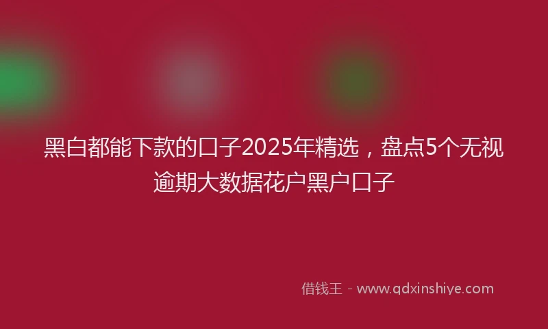 黑白都能下款的口子2025年精选，盘点5个无视逾期大数据花户黑户口子