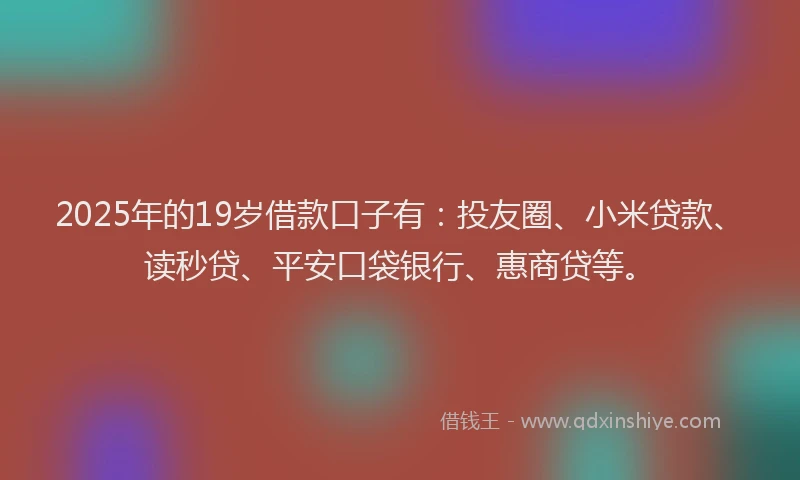 2025年的19岁借款口子有：投友圈、小米贷款、读秒贷、平安口袋银行、惠商贷等。