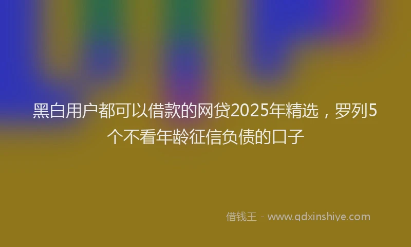 黑白用户都可以借款的网贷2025年精选，罗列5个不看年龄征信负债的口子