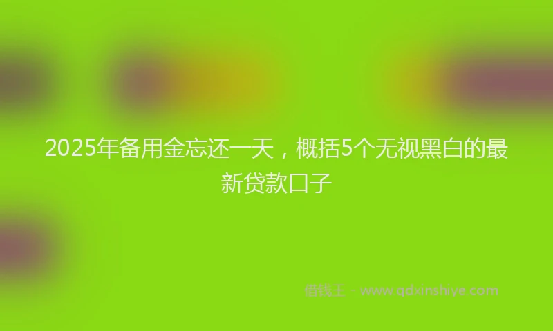 2025年备用金忘还一天，概括5个无视黑白的最新贷款口子