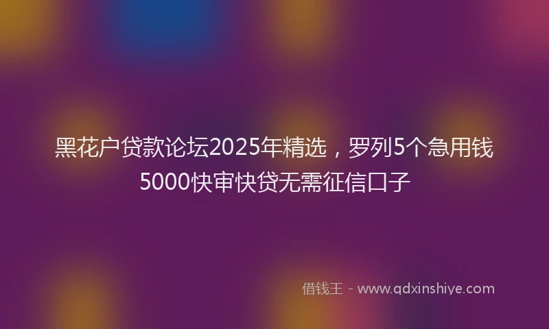 黑花户贷款论坛2025年精选，罗列5个急用钱5000快审快贷无需征信口子